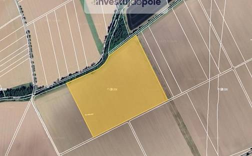 Prodej pole 7 632 m², Dolany, okres Olomouc