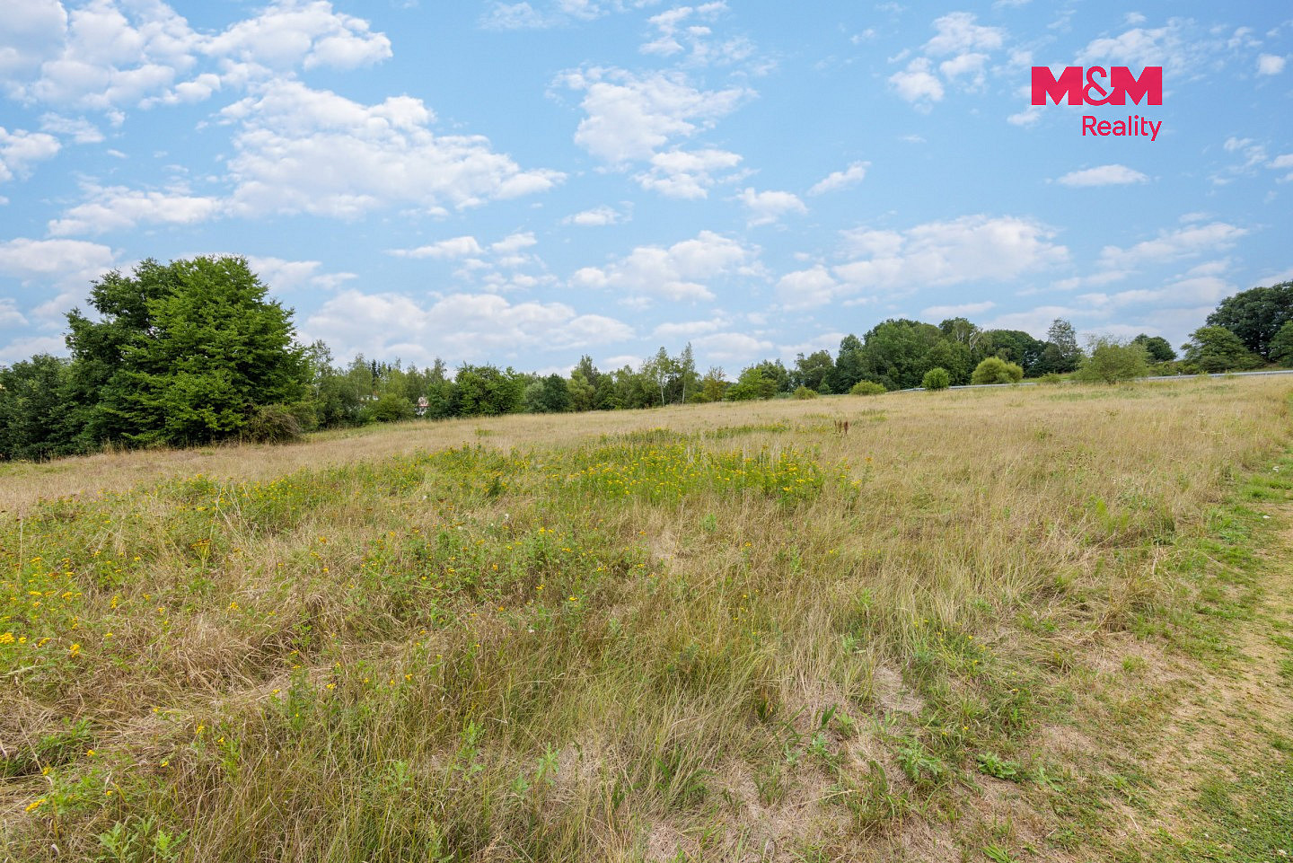Prodej stavebního pozemku 13 462 m² - Więcej