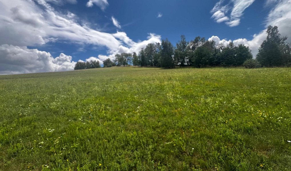Prodej stavebního pozemku 6 000 m², Ruda nad Moravou – náhled fotky 5