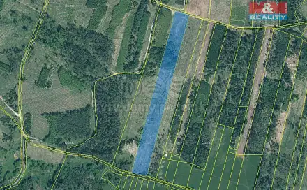 Prodej lesa 33 230 m², Jetětice, okres Písek