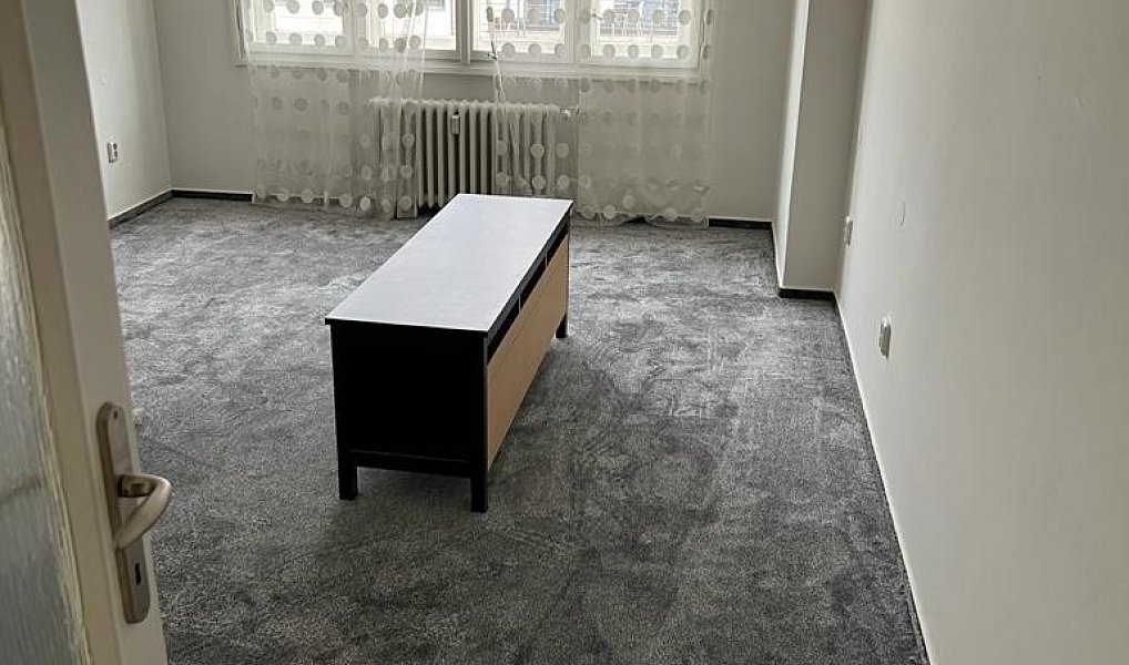 Pronájem bytu 1+1 46 m², Praha – náhled fotky 2
