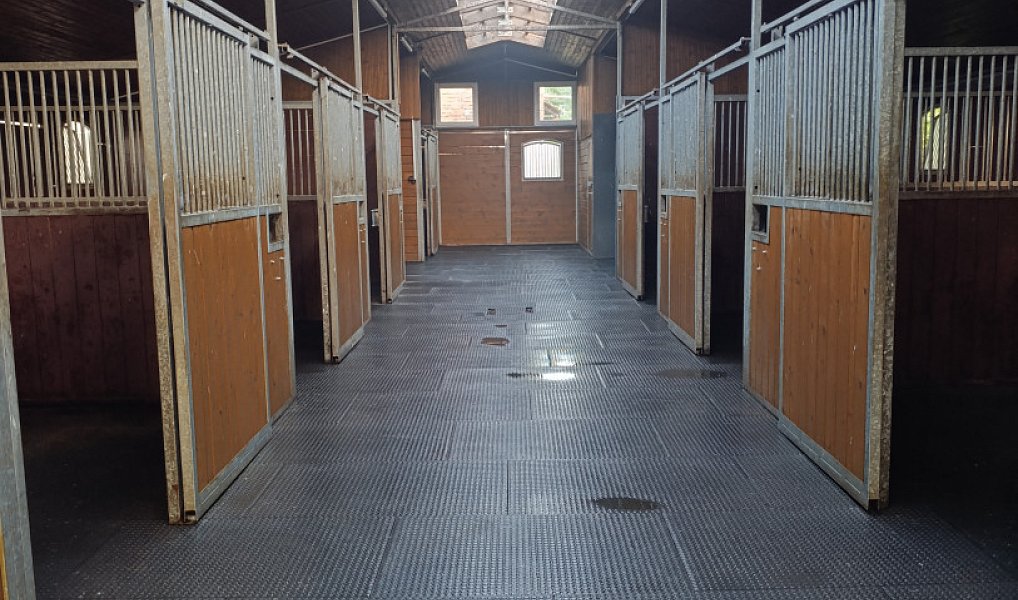 Pronájem zemědělského objektu 352 m², Hrádek nad Nisou – náhled fotky 2