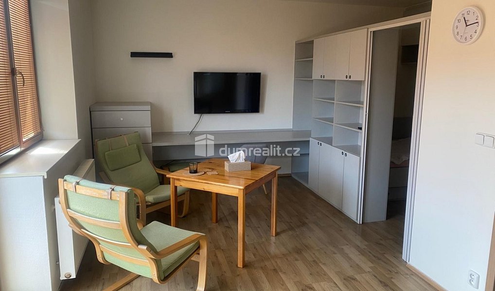 Pronájem bytu 1+kk 35 m², Praha – náhled fotky 3
