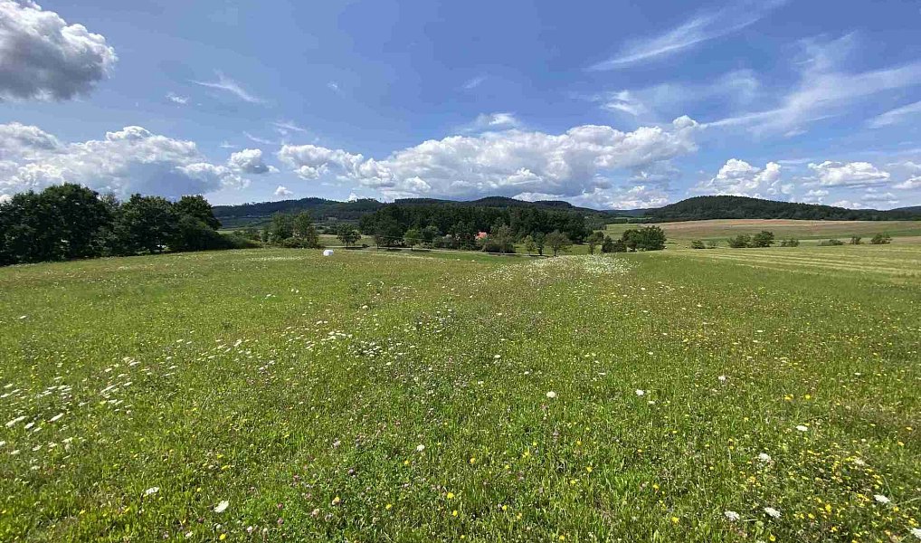 Prodej pole 55 481 m², Lhenice – náhled fotky 3