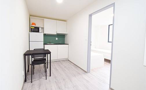 Pronájem bytu 2+1 32 m², Hybešova, Brno - Staré Brno