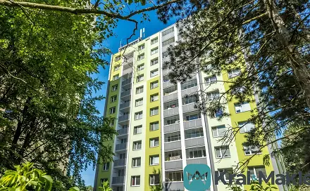 Prodej bytu 1+1 42 m², Muchova, Ústí nad Labem - Severní Terasa