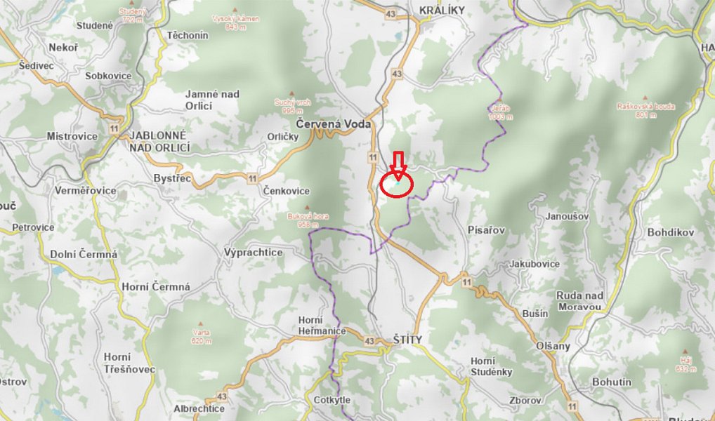 Prodej lesa 5 759 m², Červená Voda – náhled fotky 3