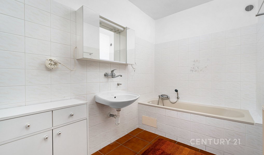 Prodej domu 227 m² s pozemkem 227 m², Slavkov u Brna – náhled fotky 8