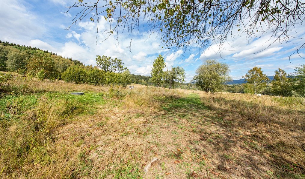 Prodej stavebního pozemku 2 451 m², Nová Pec – náhled fotky 8