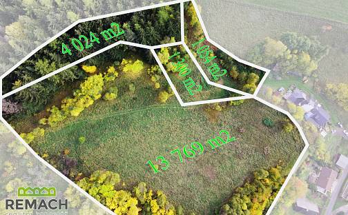 Prodej louky 20 147 m², Horní Radechová, okres Náchod