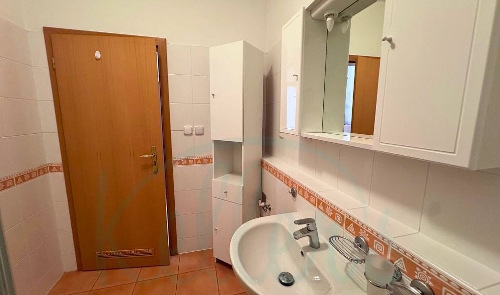 Pronájem bytu 2+kk 59 m², Praha – náhled fotky 14