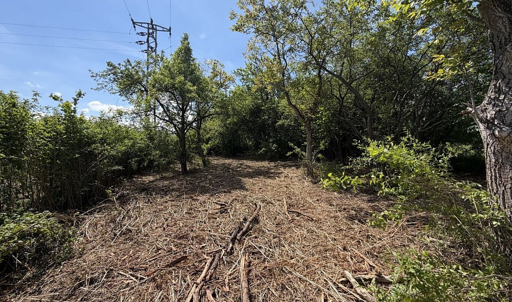 Pronájem zahrady 851 m², Lipník nad Bečvou – náhled fotky 6