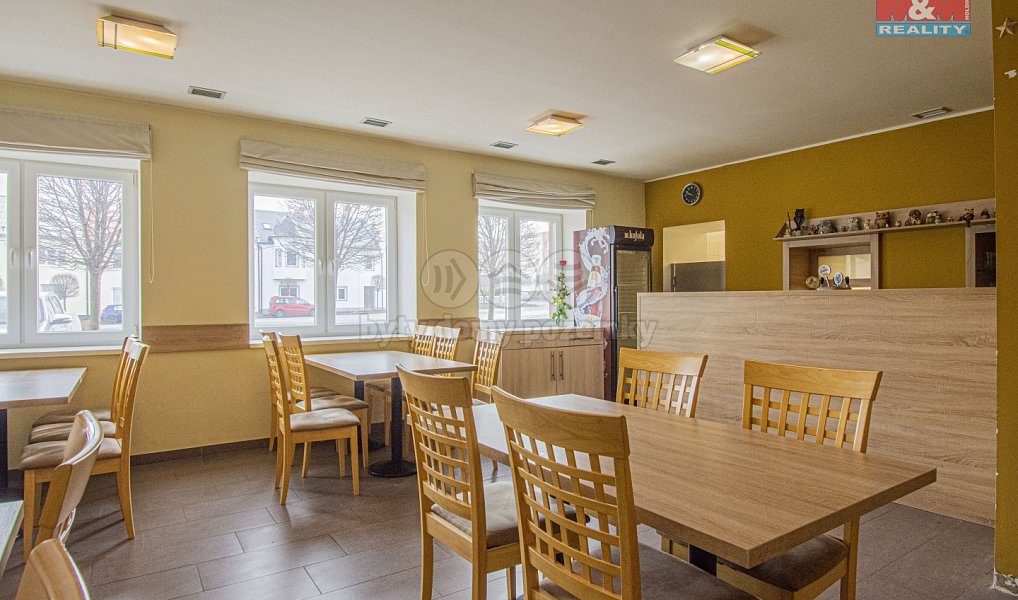 Prodej ubytovacího objektu 498 m², Slezské Rudoltice – náhled fotky 9