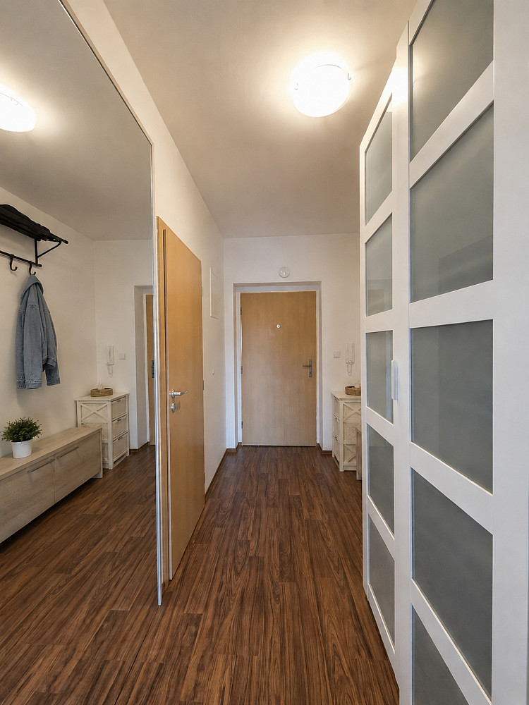 Pronájem bytu 2+kk 60 m² – další