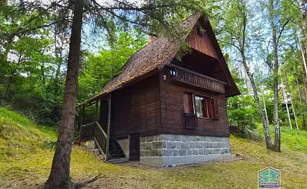 Prodej chaty/chalupy 59 m² s pozemkem 45 m², Svojšín, okres Tachov