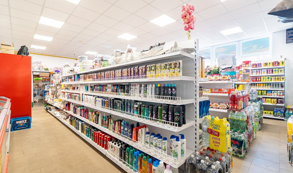 Prodej obchodních prostor 186 m², Lobodice – náhled fotky 3