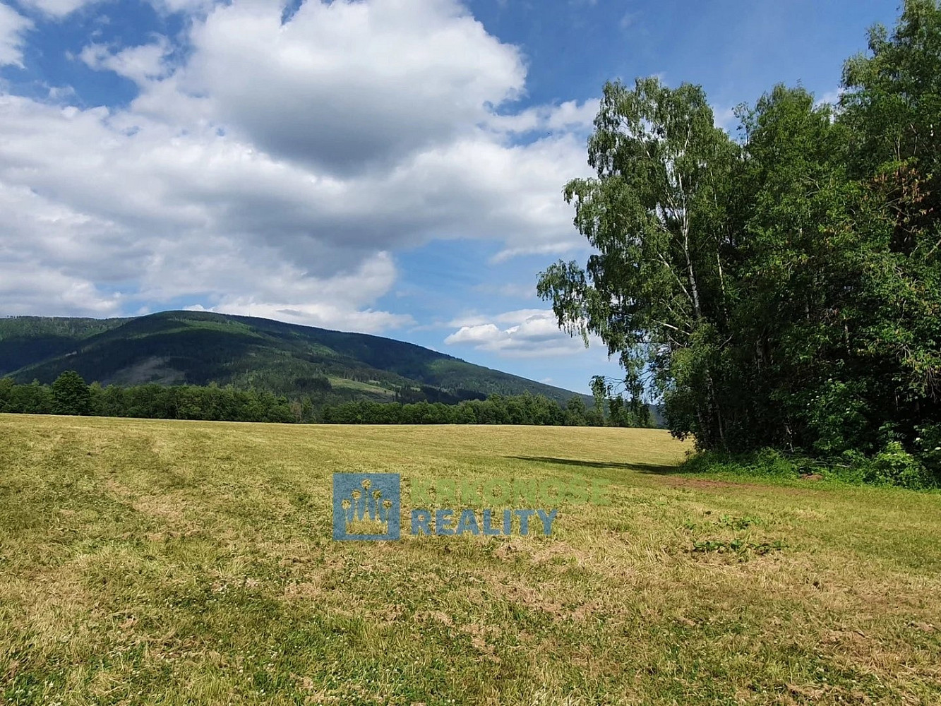 Prodej pozemku 4 617 m² – fotografie 3