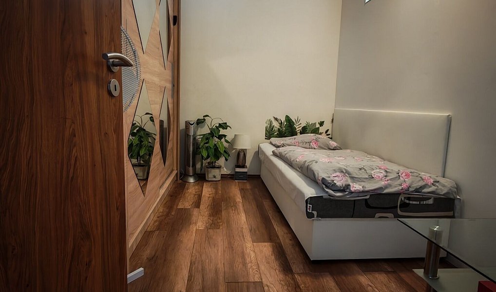 Prodej bytu 1+1 45 m², České Budějovice – náhled fotky 13