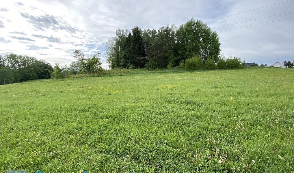 Prodej stavebního pozemku 852 m², Dolní Dvořiště – náhled fotky 5