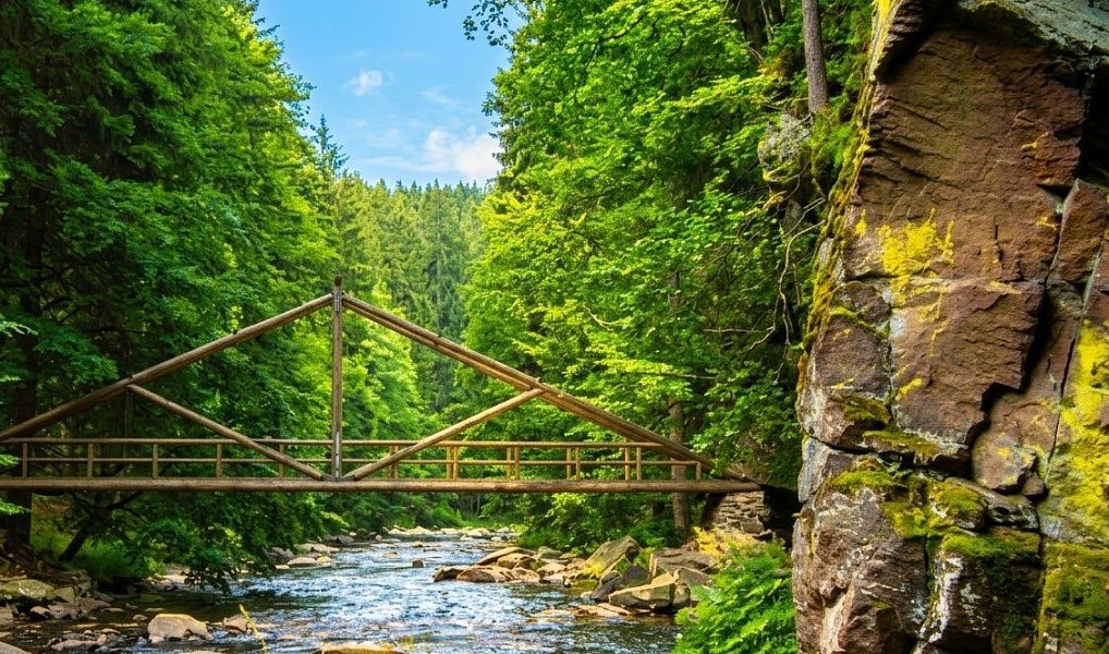 Prodej stavebního pozemku 1 832 m², České Petrovice – náhled fotky 10