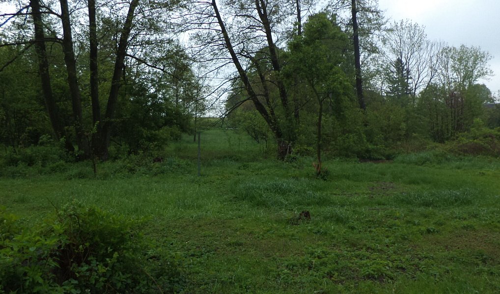Prodej pozemku 1 387 m², Vlčice – náhled fotky 2