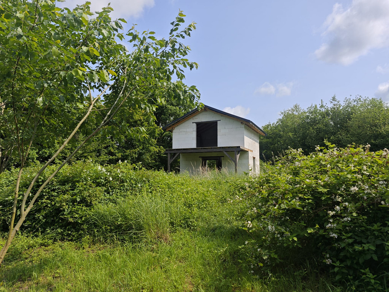 Prodej zahrady 1 000 m² — photo 4