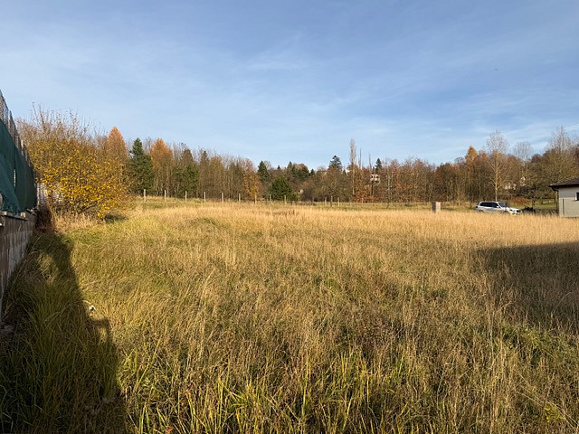 Fotka 11 z 17