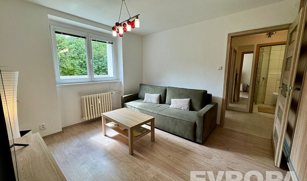 Pronájem bytu 1+1 30 m², Plzeň – náhled fotky 4