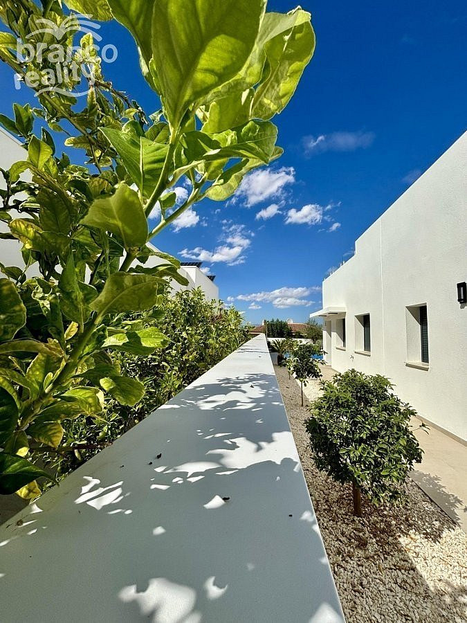 Casa – Benijófar, el Baix Segura / La Vega Baja - Más