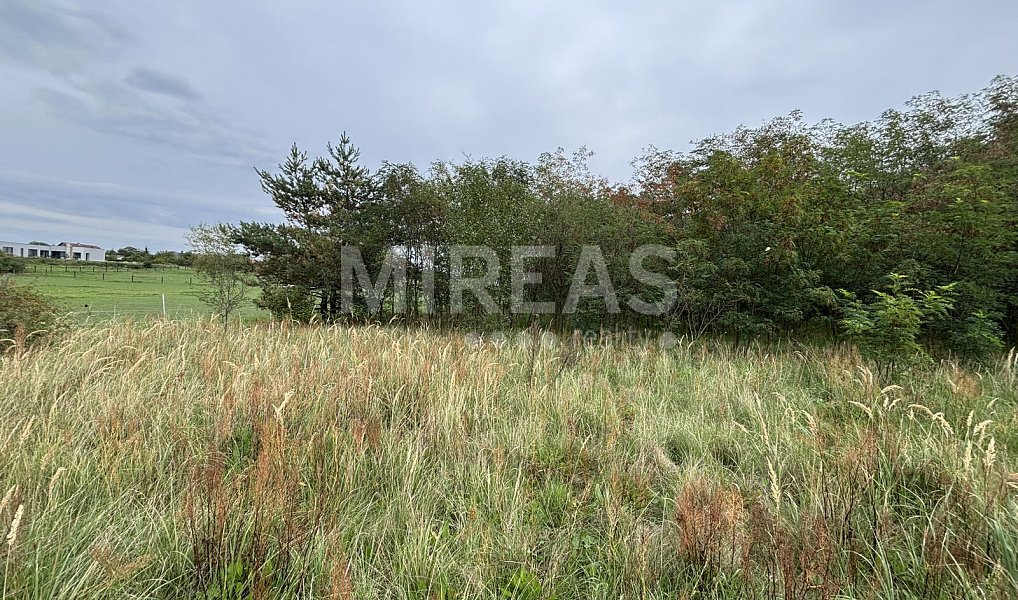 Prodej stavebního pozemku 2 111 m², Jiřice – náhled fotky 12
