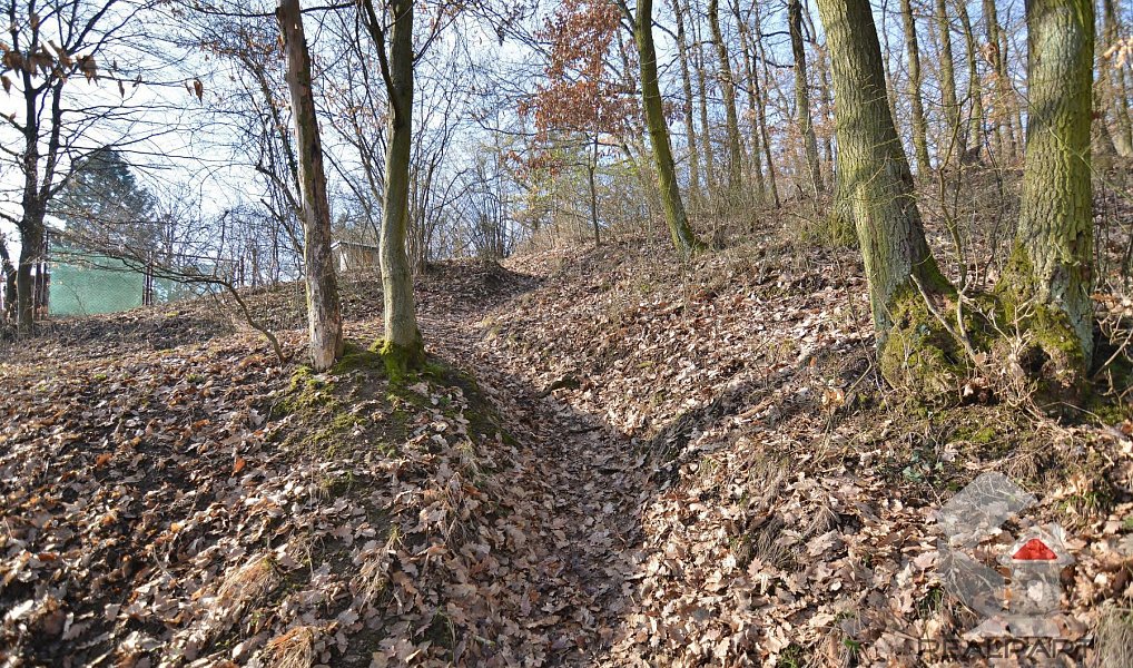Prodej zahrady 207 m², Brno – náhled fotky 17