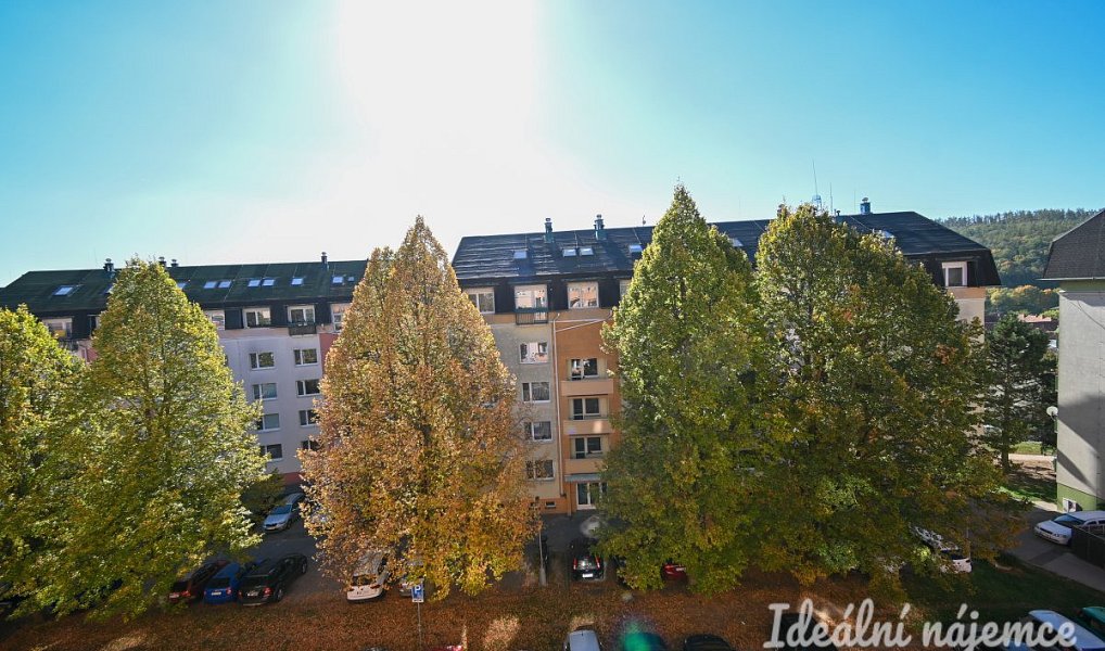 Ostatní