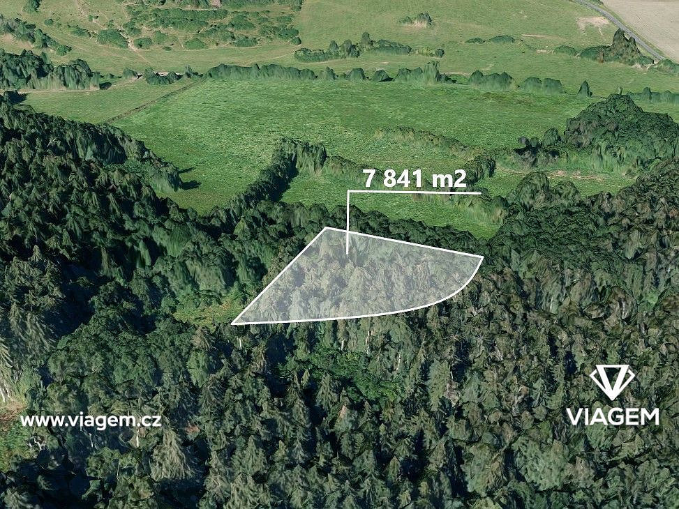 Prodej lesa 1 306 m²