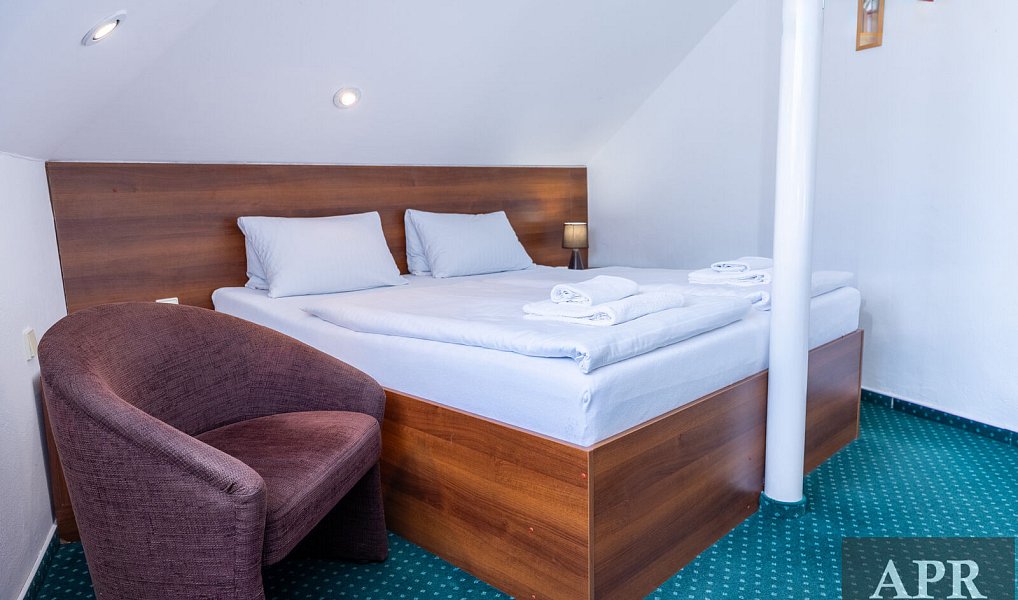 Prodej ubytovacího objektu 420 m², Luhačovice – náhled fotky 9