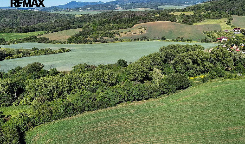 Prodej lesa 5 841 m², Skršín – náhled fotky 16