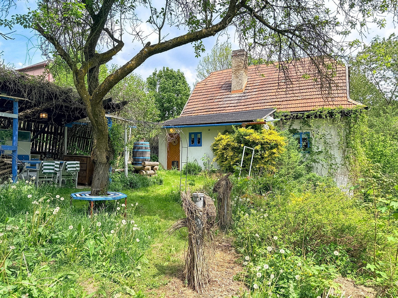 Prodej domu 117 m² s pozemkem 1 375 m² – fotografie 2