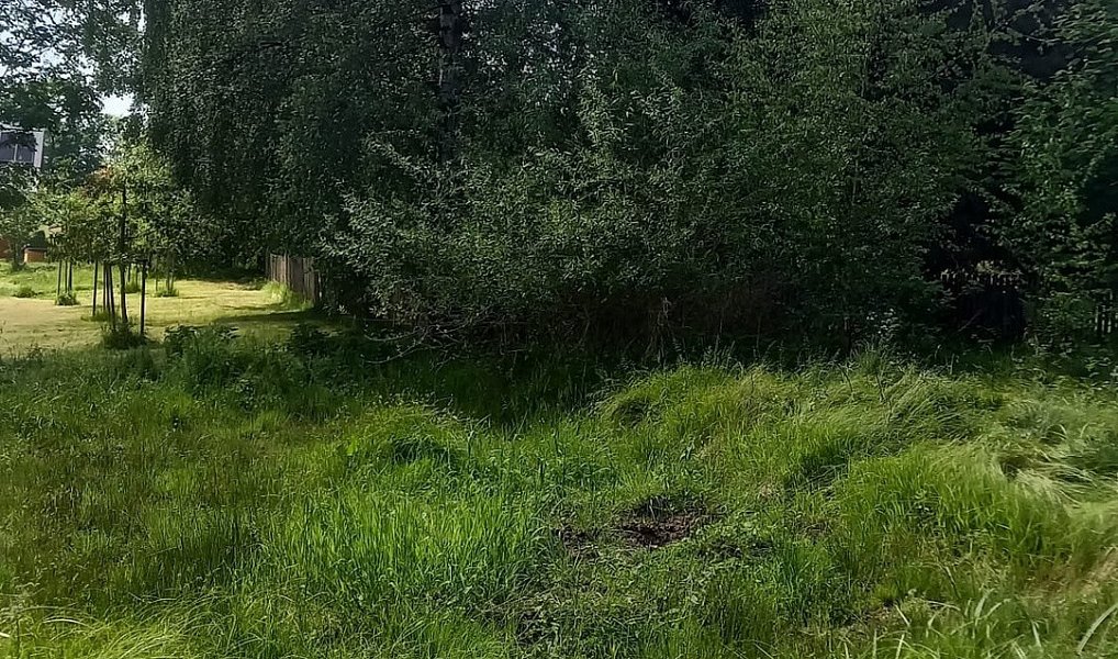 Prodej stavebního pozemku 1 800 m², Staré Křečany – náhled fotky 2