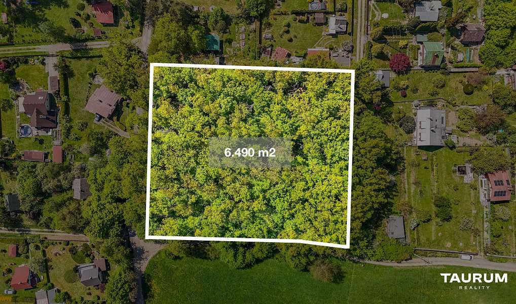 Prodej lesa 6 490 m², Petrov – náhled fotky 3