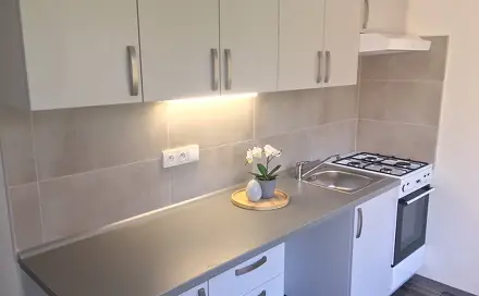 Pronájem bytu 1+1 40 m², Průkopnická, Ostrava - Zábřeh