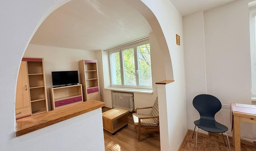 Pronájem bytu 1+1 35 m², Chomutov – náhled fotky 13