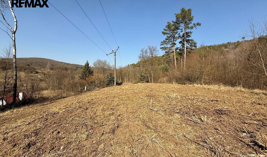 Prodej zahrady 20 733 m², Medonosy – náhled fotky 2