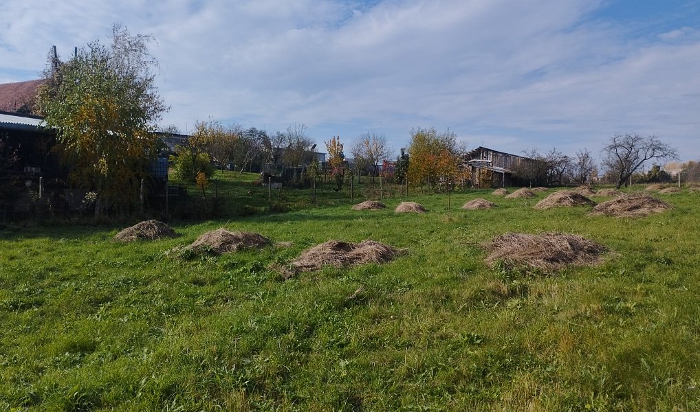Prodej stavebního pozemku 4 411 m², Holubice – náhled fotky 3