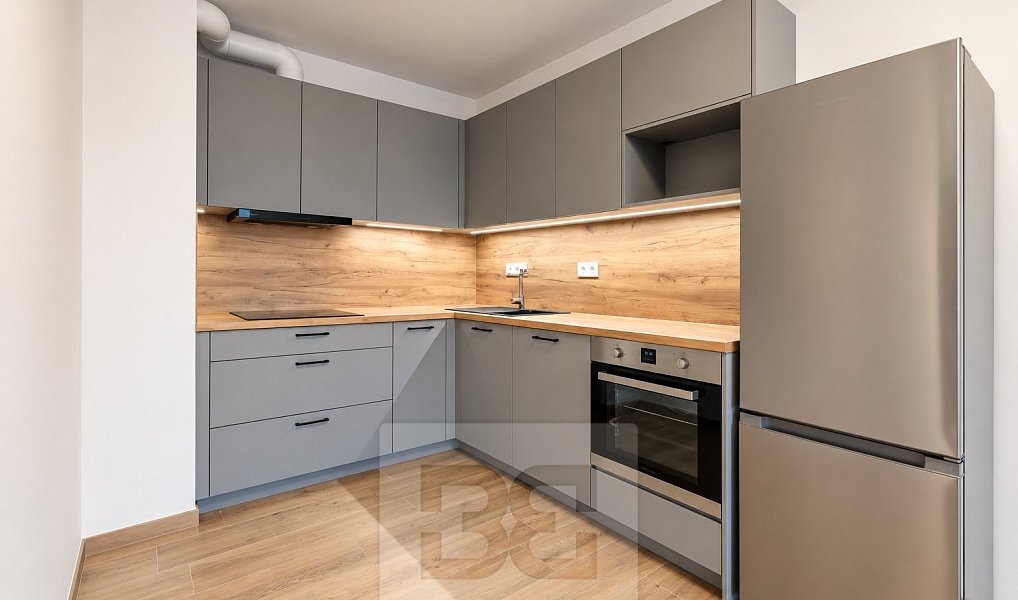 Pronájem bytu 2+kk 55 m², České Budějovice – náhled fotky 2