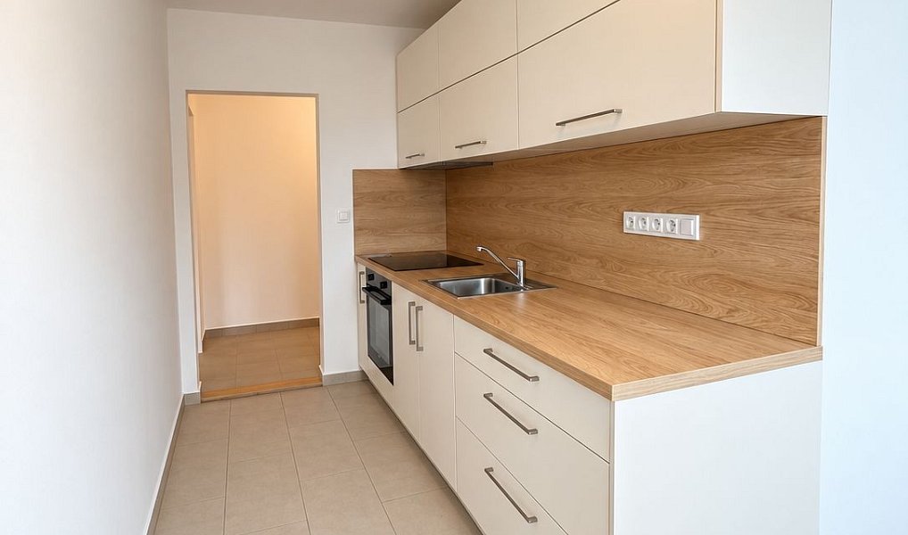 Pronájem bytu 3+1 76 m², Plzeň – náhled fotky 14