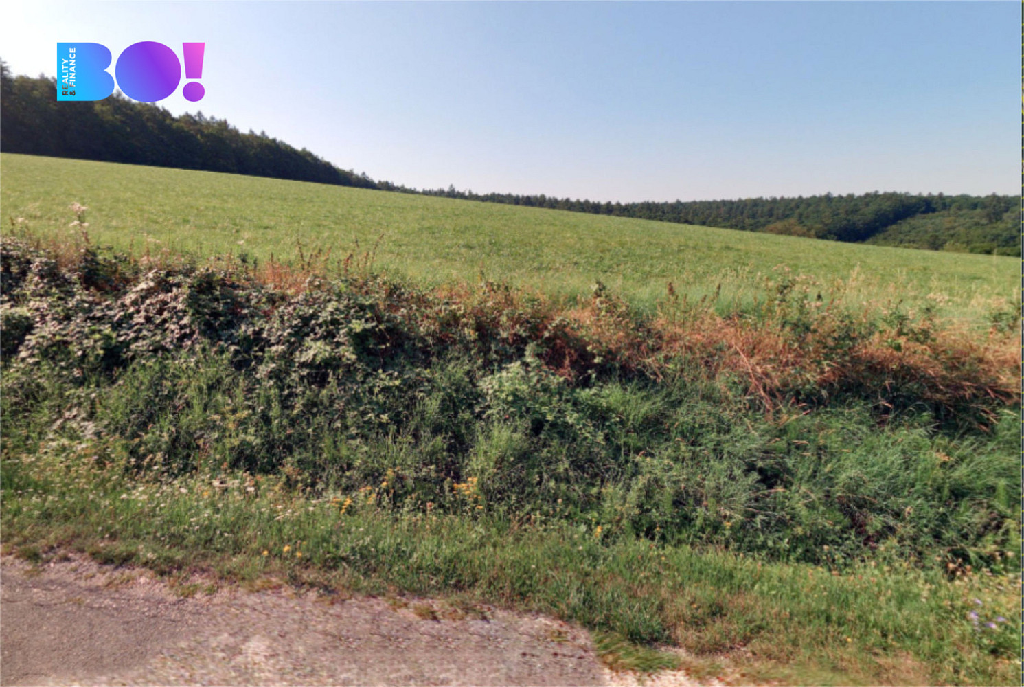 Prodej pole 43 866 m² – fotografie 2
