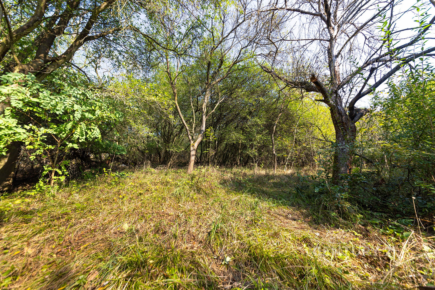 Prodej stavebního pozemku 4 736 m² – fotografie 3