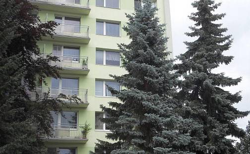 Pronájem bytu 2+1 60 m², Sokolovská, Tábor