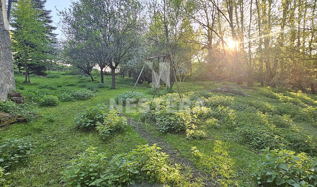 Prodej domu 650 m² s pozemkem 6 496 m², Slapy – náhled fotky 14