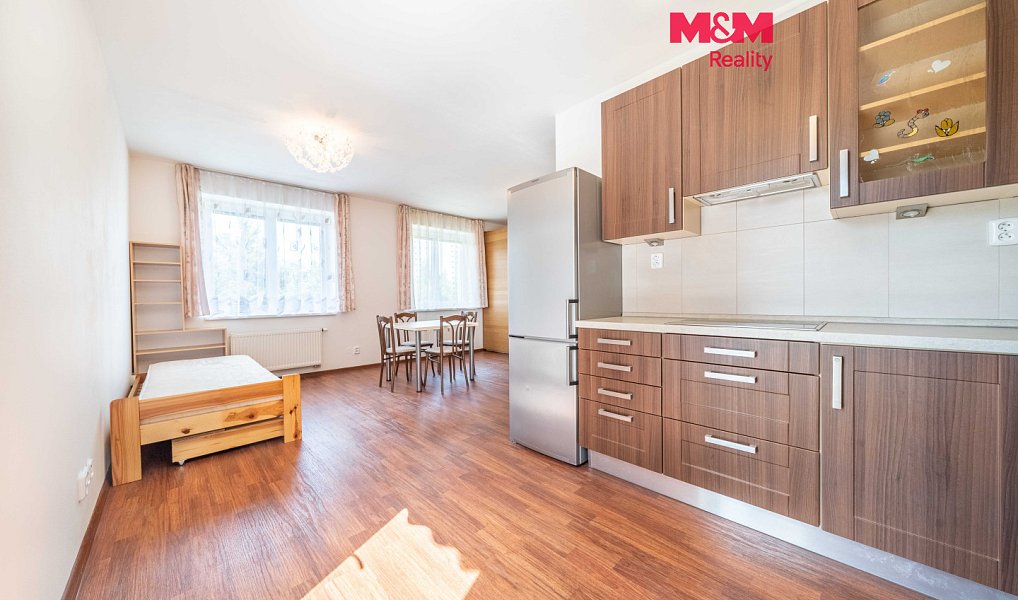 Pronájem bytu 1+kk, 50 m², Skvrňany - Plzeň-město, Plzeň