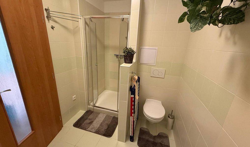 Pronájem bytu 1+1 36 m², Mostek – náhled fotky 4
